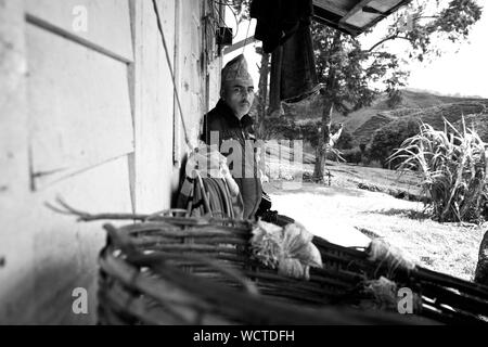 Bharat piantagione di tè, Cameron Highland, Malaysia: Foto Stock