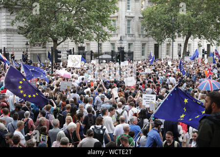 Westminster, Londra, Regno Unito. 28 Agosto, 2019. I manifestanti al di fuori di Downing Street. Migliaia di manifestanti indignati raccogliere in College Green, la piazza del Parlamento e successivamente al di fuori di Downing Street a Westminster per un 'Stop il colpo di Stato' protestare contro la prevista proroga del Parlamento nel mese di settembre, che oggi è stato ordinato dal governo e approvato dalla regina al Balmoral. Credito: Imageplotter/Alamy Live News Foto Stock