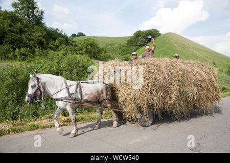 Un cavallo tira un sovraccarico hay carrello con tre uomini seduti sulla parte superiore, uno agitando il suo cappello. Medias, Transilvania, Romania Foto Stock