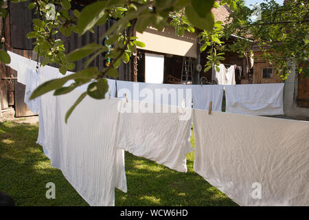 Lenzuola appesi ad asciugare su linee di lavaggio in un giardino, Richis, Transilvania, Romania Foto Stock