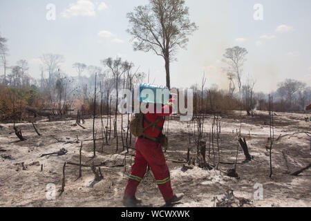 28 agosto 2019, Bolivia, Santa Rosa de Tucabaca: un membro dei vigili del fuoco porta un barattolo di acqua durante una missione in un campo bruciato. Le forze di emergenza nella parte orientale della Bolivia continuano a contenere i devastanti incendi boschivi. 1800 soldati e poliziotti 450 vengono ad essere coinvolti nella da operazioni di estinzione di incendi in Chiquitania regione. In vista delle devastanti incendi boschivi nella regione amazzonica, i capi di stato della regione vuole elaborare una strategia comune. I presidenti dei paesi di Amazon si riunirà il 6 settembre nella città colombiana di Leticia. Foto: Gaston Brito/dpa Foto Stock