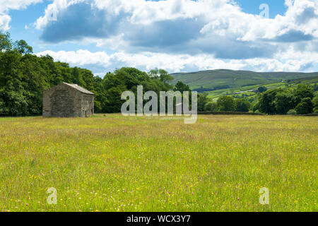 Swaledale granaio e buttercup riempito prato da fieno. Muker prati. Copyspace destra Foto Stock