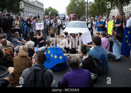 Londra, Regno Unito. 28 agosto 2019. I manifestanti anti anti anti anti-Brexit scendono per le strade del centro di Londra, visti seduti e in piedi davanti a 10 Downing Street. Credit: Joe Kuis / Alamy News Foto Stock