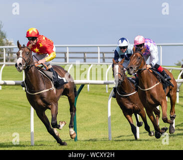 Jockey Joe Fanning (parte superiore rossa/gialla stelle) sul cognac, vincitore, Francese Duncan Bibby fattori stallone britannico prigionieri EBF Maiden Stakes, Musselburgh 28/8/19 Foto Stock