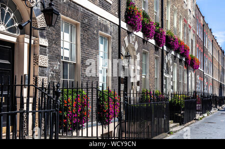 Georgian case a schiera fronti, decorato con fiori naturali, Gower Street, Bloomsbury, Londra WC1, Inghilterra, Regno Unito. Foto Stock