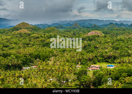 Antenna fuco vista delle pietre calcaree carsiche nella Chocolate Hills area di Bohol, Filippine Foto Stock