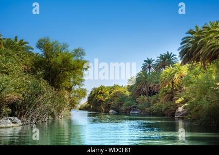 Vista del fiume Kourtaliotis e canyon nei pressi di Preveli spiaggia di Mar Libico, il fiume e la foresta di palme, nel sud di Creta, Grecia Foto Stock