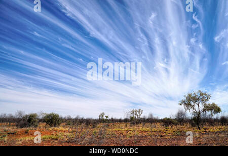 Un secco arido paesaggio del nord Australia. Foto Stock