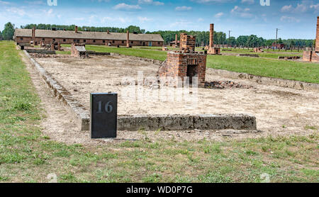 Scene da campi di concentramento di Auschwitz e Birkenau Foto Stock