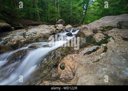 Silky acqua correre su rocce erose con verde bosco in background Foto Stock