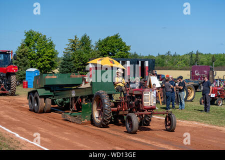 Dundas, Prince Edward Island / Canada - Agosto 25, 2019: i concorrenti con i loro trattori tira una slitta di ponderata nel trattore annuale tirare competito Foto Stock