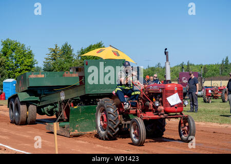 Dundas, Prince Edward Island / Canada - Agosto 25, 2019: i concorrenti con i loro trattori tira una slitta di ponderata nel trattore annuale tirare competito Foto Stock