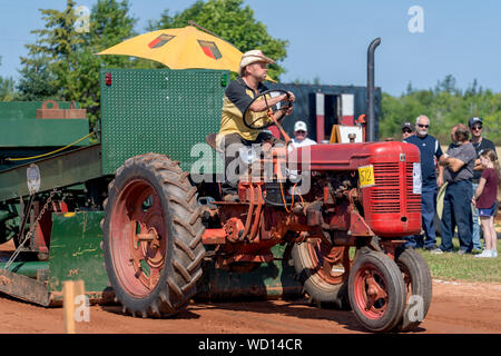 Dundas, Prince Edward Island / Canada - Agosto 25, 2019: i concorrenti con i loro trattori tira una slitta di ponderata nel trattore annuale tirare competito Foto Stock