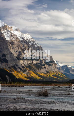 Autunno a colori lungo il Nord del Fiume Saskatchewan, il Parco Nazionale di Banff, Alberta, Canada Foto Stock