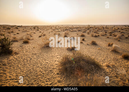 Il Deserto di Thar, Rajasthan, India. Foto Stock