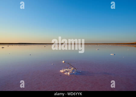 Tramonto su Koyashsky Salt Lake con acqua di rosa. Koyashskoye è un lago salato sulla costa della penisola di Kerch nel crimine. La Russia. Foto Stock