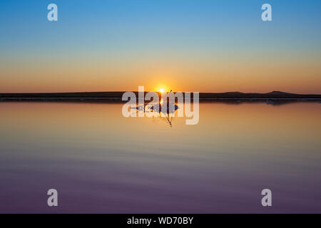 Tramonto su Koyashsky Salt Lake con acqua di rosa. Koyashskoye è un lago salato sulla costa della penisola di Kerch nel crimine. La Russia. Foto Stock