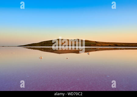 Tramonto su Koyashsky Salt Lake con acqua di rosa. Koyashskoye è un lago salato sulla costa della penisola di Kerch nel crimine. La Russia. Foto Stock