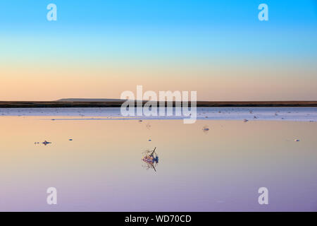 Tramonto su Koyashsky Salt Lake con acqua di rosa. Koyashskoye è un lago salato sulla costa della penisola di Kerch nel crimine. La Russia. Foto Stock