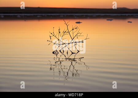 Koyashskoye è un lago salato sulla costa della penisola di Kerch nel crimine. La Russia. Foto Stock