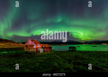 Luce polare, Northern Light aurora boreale, Kvaloyvagen, Norvegia, Oceano Atlantico Foto Stock