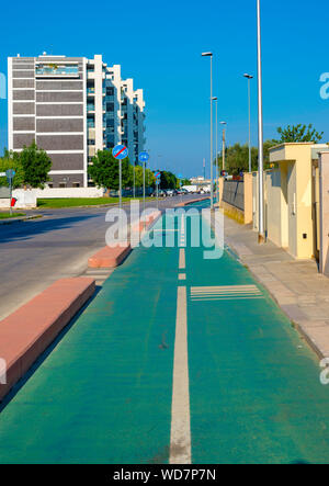 Colore verde città percorso ciclo con la specifica segnaletica orizzontale e verticale, per consentire la sicurezza di chi usa la bicicletta Foto Stock