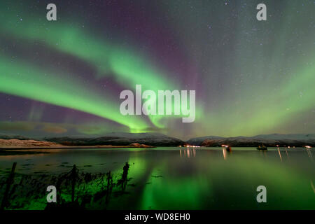 Luce polare, Northern Light aurora boreale, Kvaloyvagen, Norvegia, Oceano Atlantico Foto Stock
