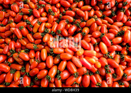 Roma freschi Pomodori visualizzati sul giorno di mercato Foto Stock