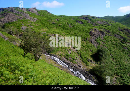 Sourmilk Gill dal percorso per il Wainwrights Tarn Crag & Blea Rigg in Easedale, Grasmere, Parco Nazionale del Distretto dei Laghi, Cumbria, Inghilterra, Regno Unito. Foto Stock