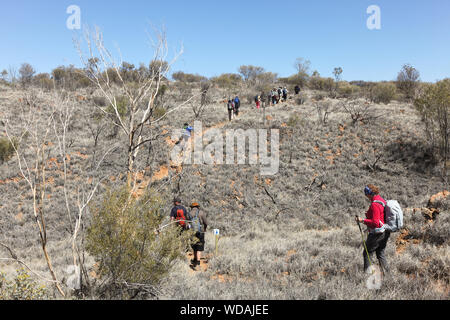 Gruppo di escursionisti, Euro Ridge, il Larapinta Trail, West McDonnell Ranges, Territorio del Nord, l'Australia Foto Stock