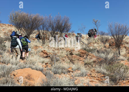 Gruppo di escursionisti, Euro Ridge, il Larapinta Trail, West McDonnell Ranges, Territorio del Nord, l'Australia Foto Stock