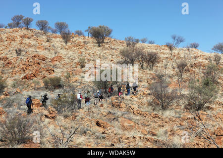 Gruppo di escursionisti, Euro Ridge, il Larapinta Trail, West McDonnell Ranges, Territorio del Nord, l'Australia Foto Stock