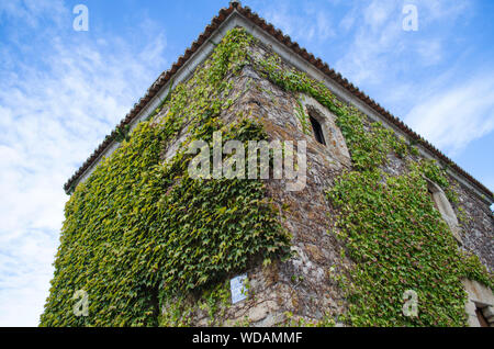 Facciata coperta di edera in Trujillo, Caceres, Spagna. Calle de los Mártires. Foto Stock