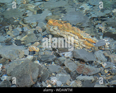 Increspata acqua chiara con sassoso letto del fiume Foto Stock