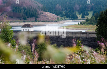 Eckertalsperre, Germania. Il 29 agosto, 2019. Vista la Eckertalsperre nel Parco Nazionale di Harz al confine della Bassa Sassonia e Sassonia-Anhalt. La Bassa Sassonia Ministero della scienza supporta il cambiamento climatico progetto "L'energia e di deposito di acqua" Harz nei prossimi tre anni con 1,6 milioni di euro provenienti dai fondi dell'UE. Lo sfondo per il lavoro di ricerca è gli effetti delle condizioni atmosferiche estreme situazioni come si è verificato nel 2017 e 2018. Credito: Julian Stratenschulte/dpa/Alamy Live News Foto Stock