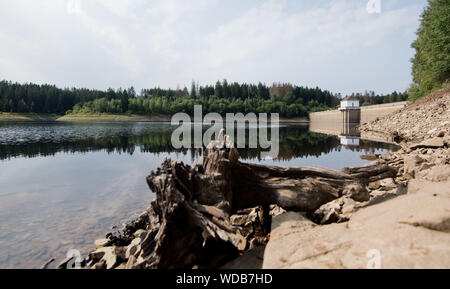 Eckertalsperre, Germania. Il 29 agosto, 2019. Vista la Eckertalsperre nel Parco Nazionale di Harz al confine della Bassa Sassonia e Sassonia-Anhalt. La Bassa Sassonia Ministero della scienza supporta il cambiamento climatico progetto "L'energia e di deposito di acqua" Harz nei prossimi tre anni con 1,6 milioni di euro provenienti dai fondi dell'UE. Lo sfondo per il lavoro di ricerca è gli effetti delle condizioni atmosferiche estreme situazioni come si è verificato nel 2017 e 2018. Credito: Julian Stratenschulte/dpa/Alamy Live News Foto Stock