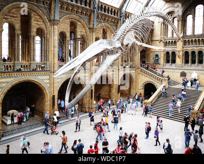 Il Museo di Storia Naturale di Londra Foto Stock