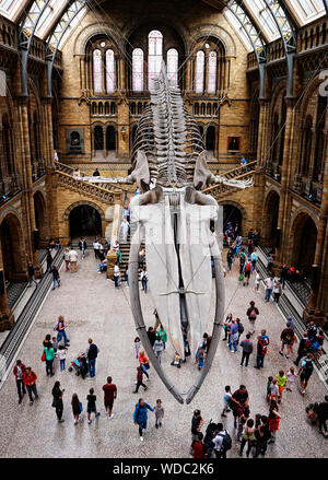 Il Museo di Storia Naturale di Londra Foto Stock