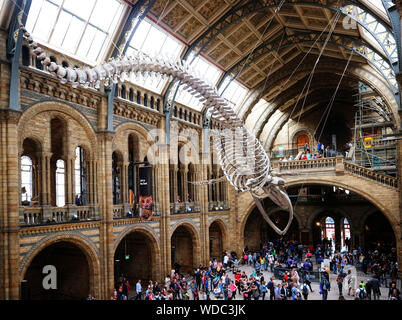 Il Museo di Storia Naturale di Londra Foto Stock