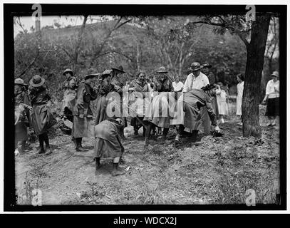 GIRL SCOUTS GIARDINAGGIO Abstract/medio: 1 negativi : vetro 5 x 7 in. o più piccolo Foto Stock