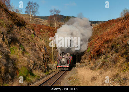 Palmerston sulla ferrovia Ffestiniog Foto Stock