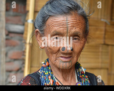 Vecchio Apatani indiano donna con legno nero tappi naso (yawping hullo) e distintivo faccia tribale tatuaggio su la fronte e il mento pone per la fotocamera. Foto Stock