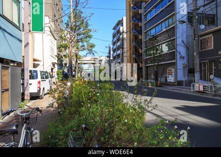 Tranquilla Tokyo locale distretto residenziale. Foto Stock