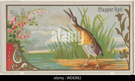 Clapper Rail, dal gioco della serie di uccelli (N13) per Allen & Ginter marche di sigarette. Dimensioni: foglio: 1 1/2 x 2 3/4 in. (3,8 x 7 cm). Litografo: George S. Harris & Sons (American, Philadelphia). Editore: Rilasciato da Allen & Ginter (American, Richmond, Virginia). Data: 1889. Scambio di carte da 'Gioco Uccelli' serie (N13), rilasciato nel 1889 in un set di 50 schede per promuovere Allen & Ginter marca di sigarette. Museo: Metropolitan Museum of Art di New York, Stati Uniti d'America. Foto Stock