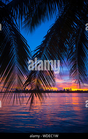 Tramonto panoramico vista sullo skyline della città sulla Baia di Biscayne a Miami, Florida, Stati Uniti d'America Foto Stock