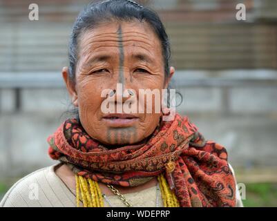 Anziani Apatani indiano donna tribale con legno nero tappi naso (yaping hullo) e distintivo faccia tribale tatuaggio pone per la fotocamera. Foto Stock