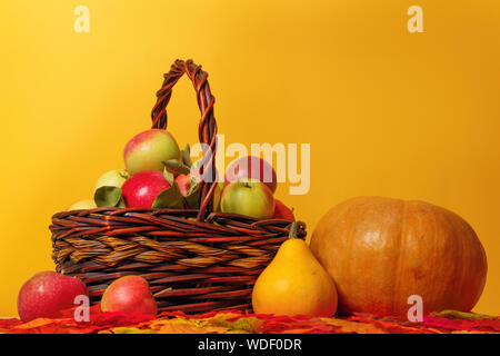 La mietitura. Le mele in un cesto e zucche su foglie di autunno su sfondo giallo. Foto Stock