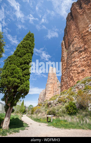 Mallos de Riglos, Riglos, La Hoya, Huesca, Spagna Foto Stock