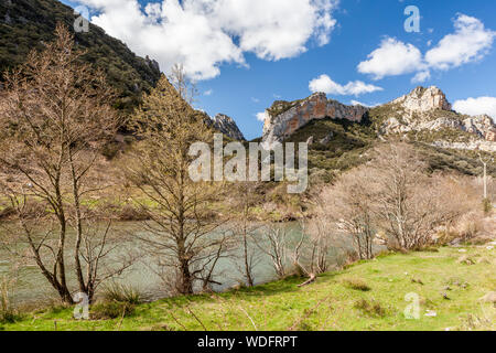 Gola di Los Tornos vicino Tudanca del Ebro village, Paramos regione, Burgos, Spagna Foto Stock