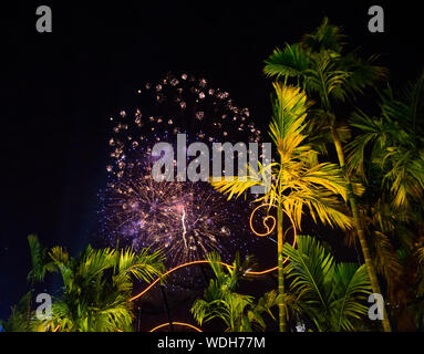 Fuochi d'artificio illuminano il cielo con display di abbagliamento Foto Stock